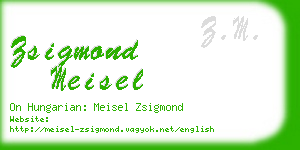 zsigmond meisel business card